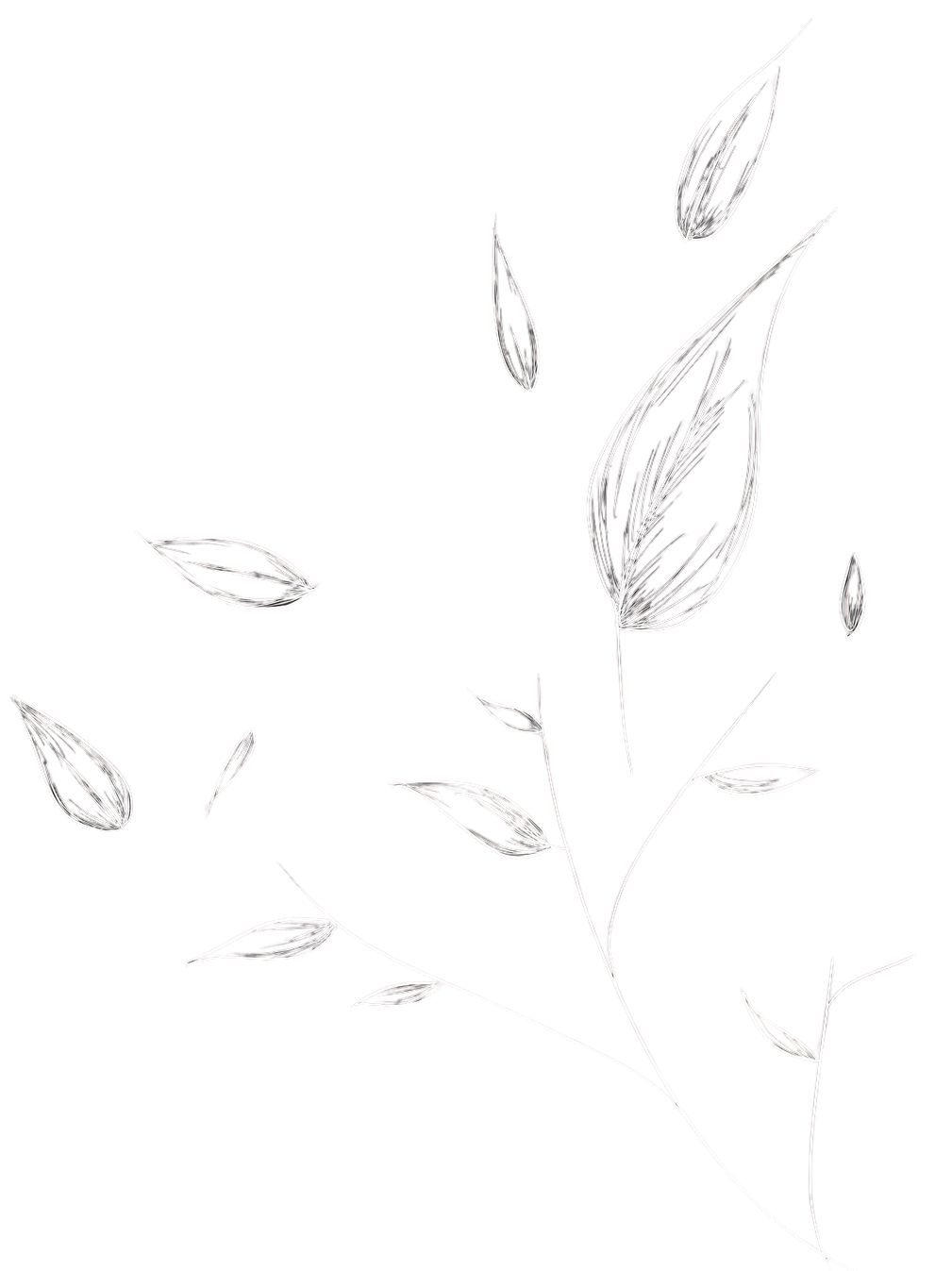 shape